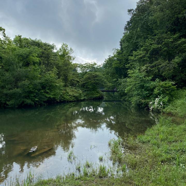 24c868e7 05bc 4e88 8773 4608872f35ad 1621848903713