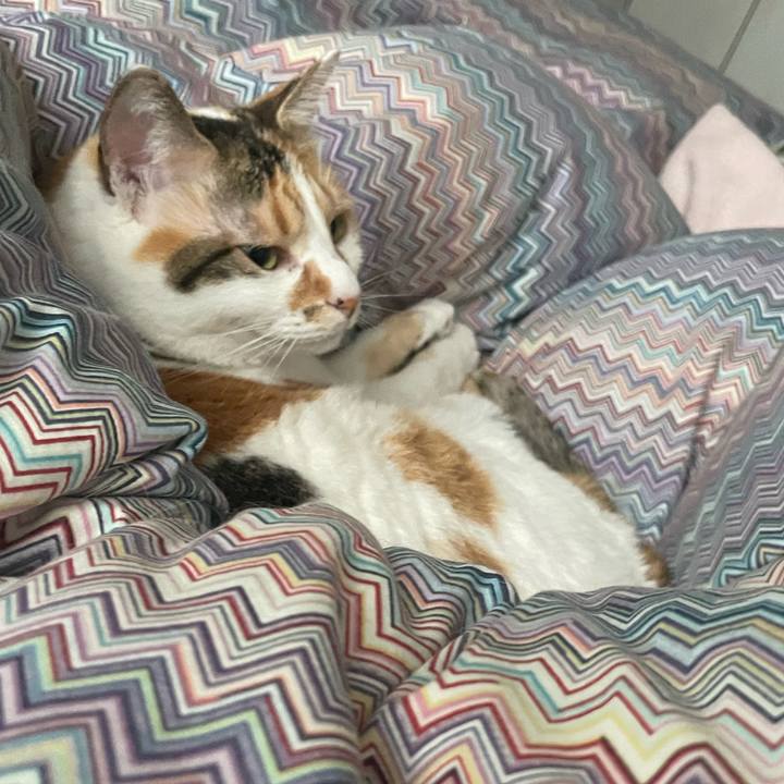 24c87650 d809 4b67 a380 3e7496cf1731 1713930421574