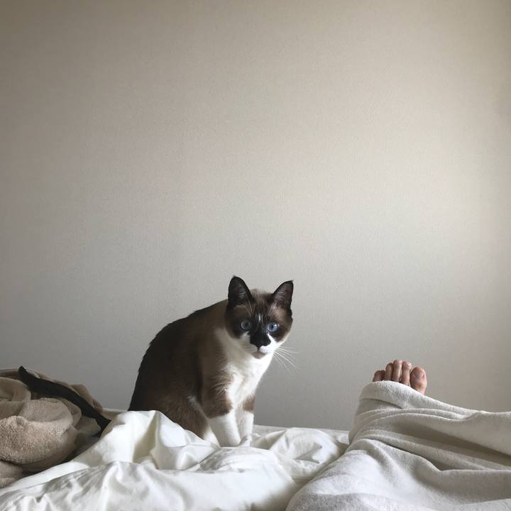 24c8a549 7728 41bc b037 a8f28de2603b 1525417352929