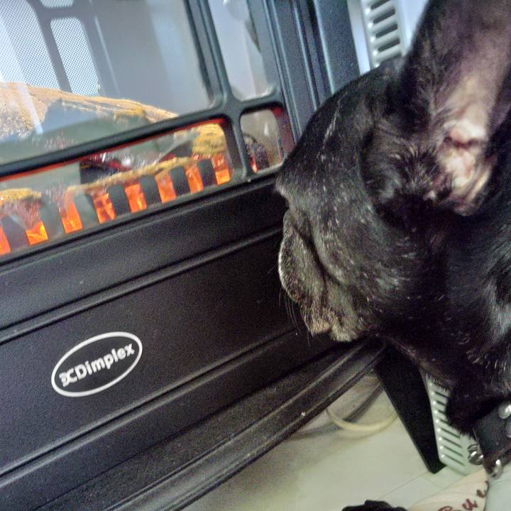 24c8a7a1 15d0 414d 8b45 977102944cdc 1637208903946