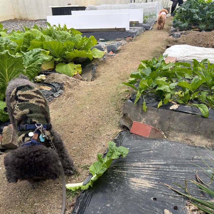 24c8b6ed 7150 4a07 8f2a ff59a7506027 1764162919339