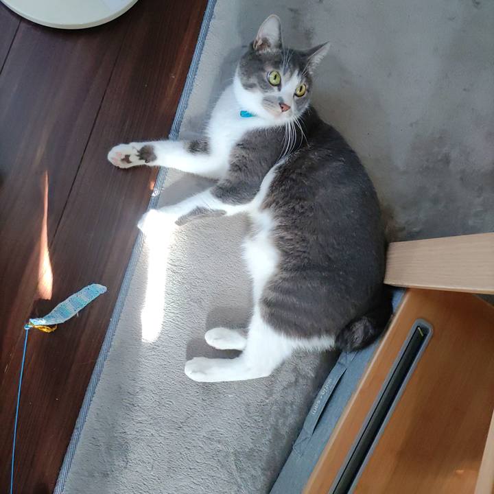 24c8cc88 fe68 40d5 a05a 691577784a97 1658717508441