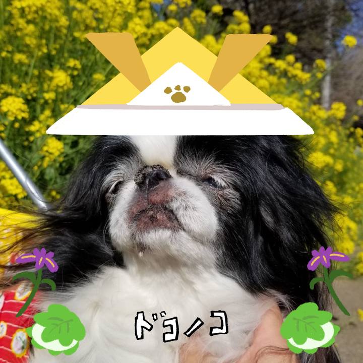 24c90156 dbe5 4286 b674 29050e2cf4cd 1714903902298