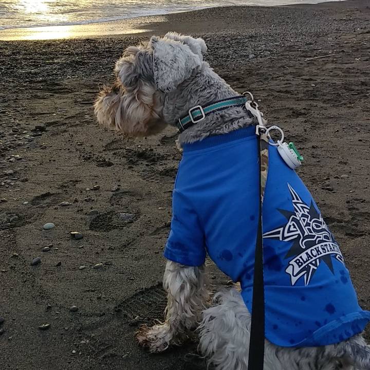 24c918be 42b4 4ab9 bfcd 96e06649c84e 1541233709006