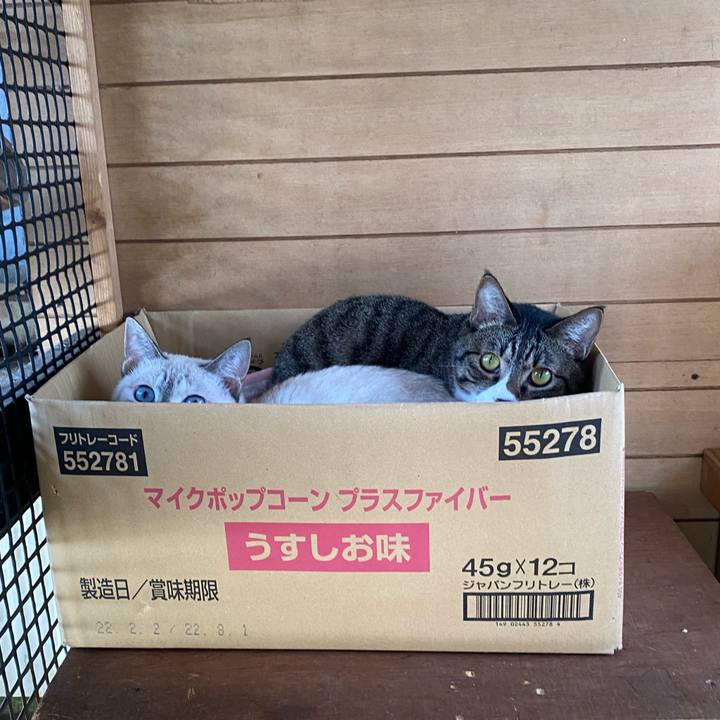 24c944d3 2217 4de7 b1a4 0a384fdeedde 1665619068235