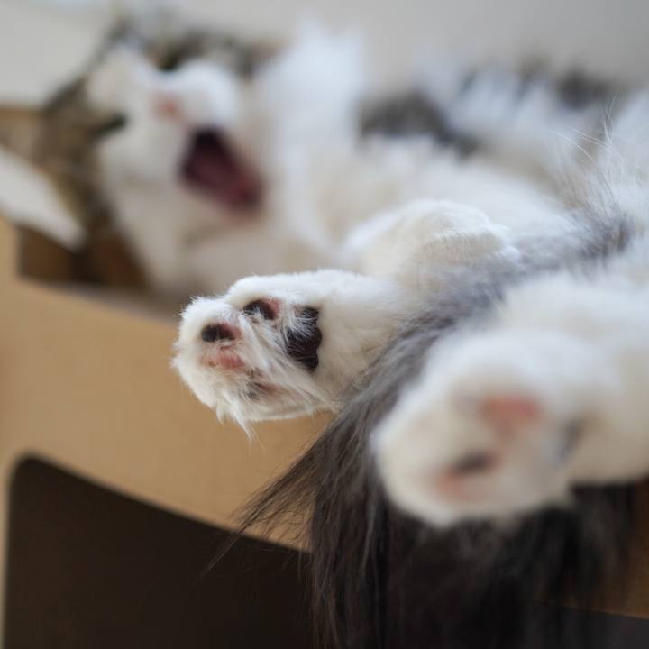 24c993a8 191c 4bd7 b946 8277206acfac 1581827672335