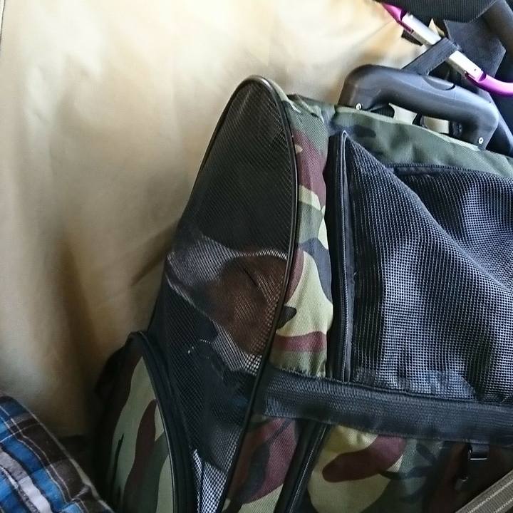 24c99689 94b9 430b b18b e7cf6373fb41 1525513873700