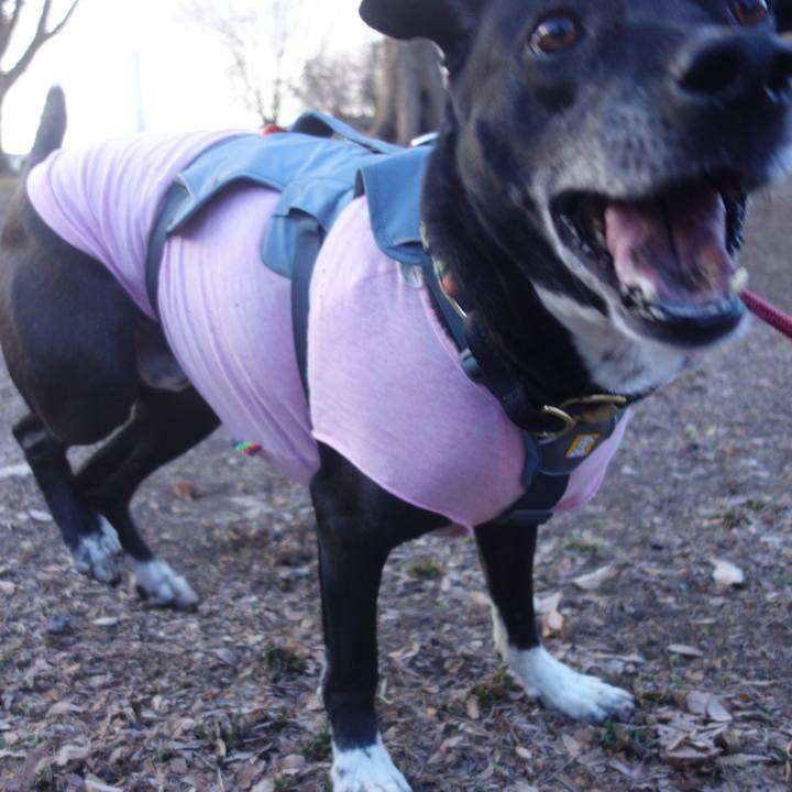 24c9c122 e0d4 49b0 b1a9 232b966c83e1 1705280373636