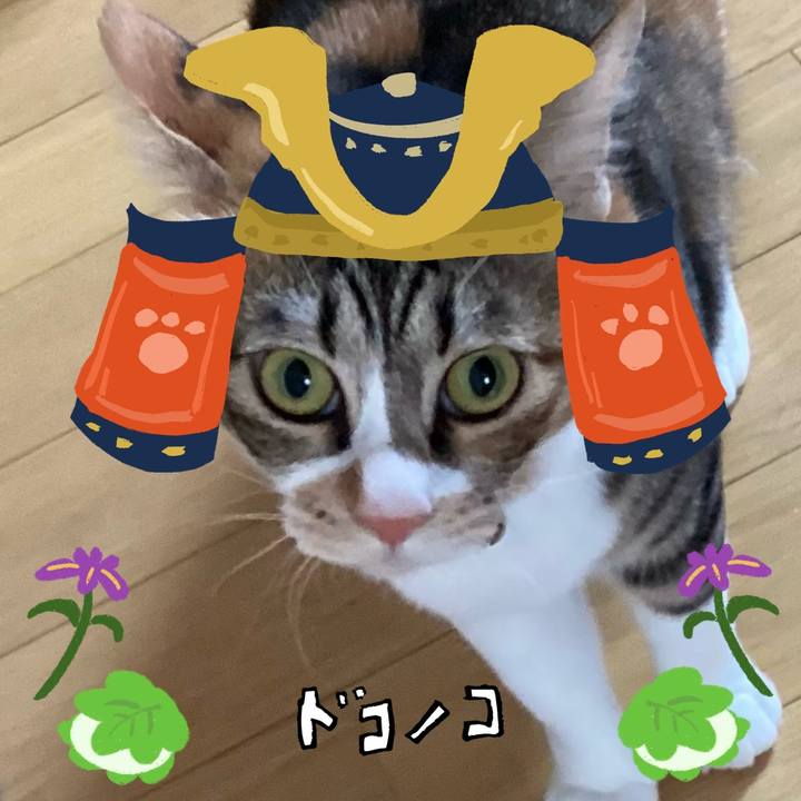 24c9dbb3 3a45 43ac 838c 76ce7c0499da 1714884687346