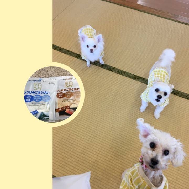 24c9e4cc 16c9 427d 956e 1e1689e85ca2 1543577230037