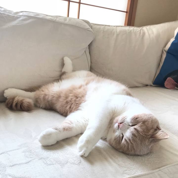 24c9f08d cb7c 4b0d 9f70 48435029cb41 1519265179870