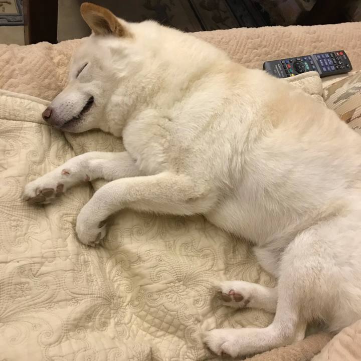 24ca2238 f7e9 4217 8c05 ec438bbabc29 1634184877574