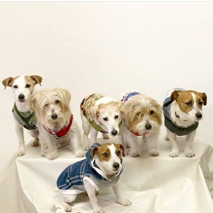 24ca3631 90c8 4a86 9135 541ef5c409b8 1518870071308