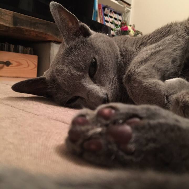 24ca5e2a 1311 4cd0 883c 18ad2f356fbb 1513761107410