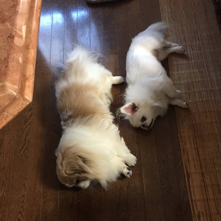 24ca6e90 266f 4808 8d39 664abcfbd470 1534938753229