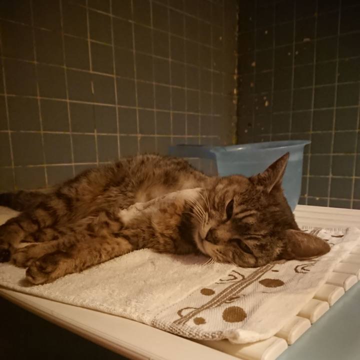 24caa57c a944 4acf aa77 7b2a9ec95414 1587981338968