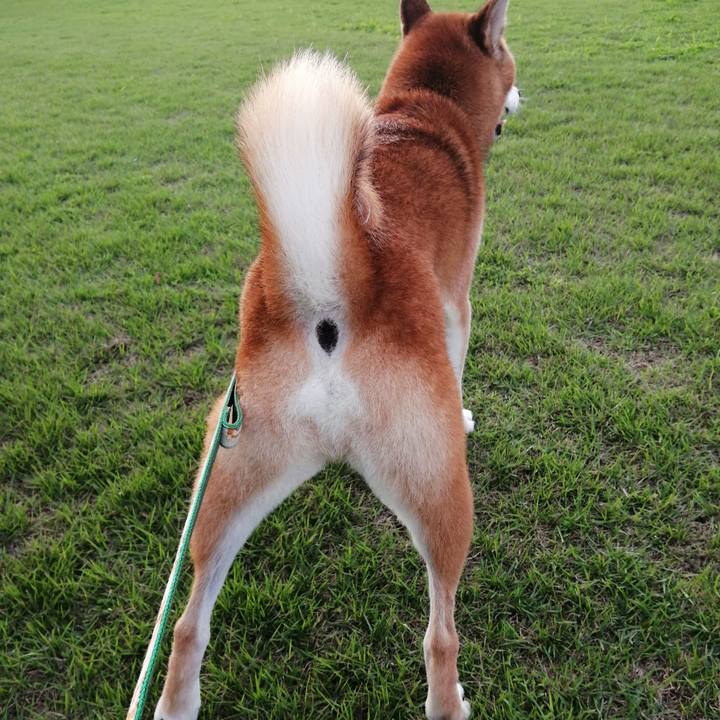 24cb00a3 5e5d 4988 a0e7 92746053d7e6 1694425920730