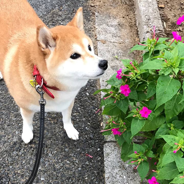 24cb2a1d 378a 43db a93e 8a1f4587734e 1572304674609