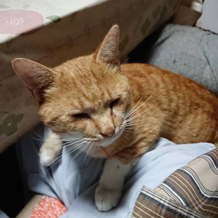 24cb3e9b 7a2f 41d2 b4ea f42ce9f78b71 1571693412699