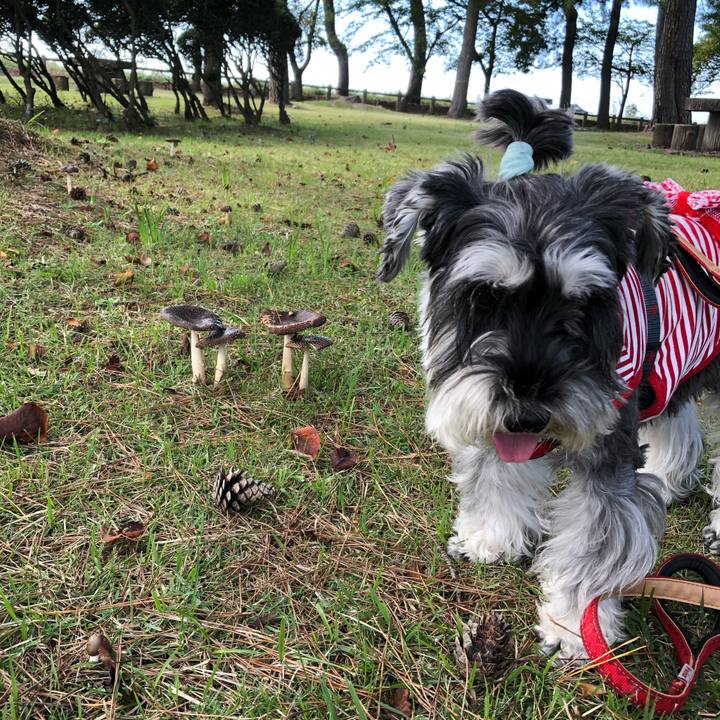 24cb56cc b40f 45d9 a80c 43dcdae902be 1665647495281