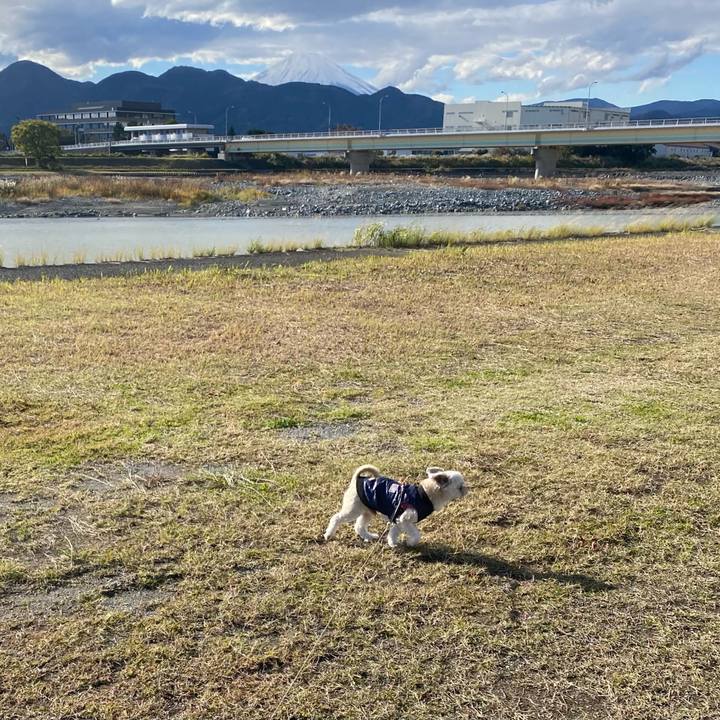 24cb8317 89fd 4a75 ae1c ab49883e2636 1700297752936