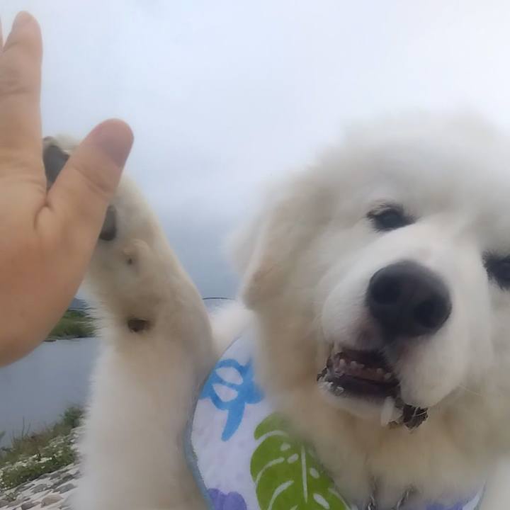 24cb8482 4fda 4e25 8a42 6bf45f990413 1688000252870