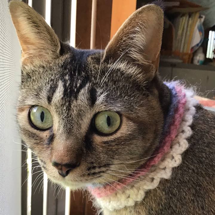 24cb8ca1 1a38 4d93 9218 48fdca8822d5 1620943330939