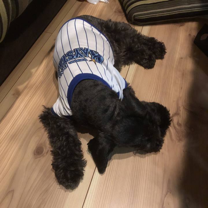 24cbea94 3731 4c92 9986 f06d78e5052e 1563623396881