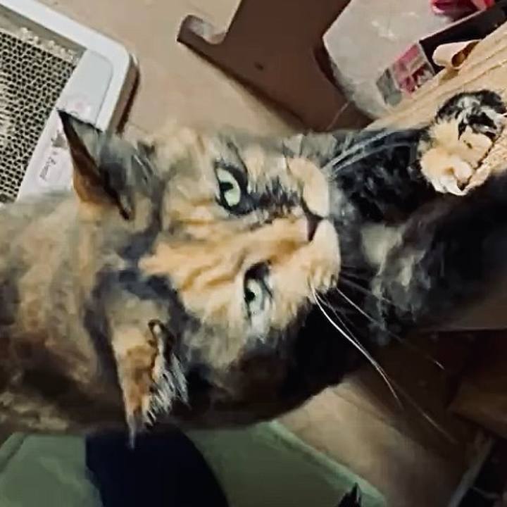 24cbeacb 50d1 4a91 a304 aa215ef50a4c 1759522003282