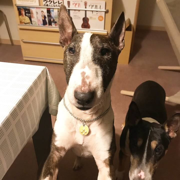 24cc396a 451a 41f3 b973 845c3e685fe8 1521722564383