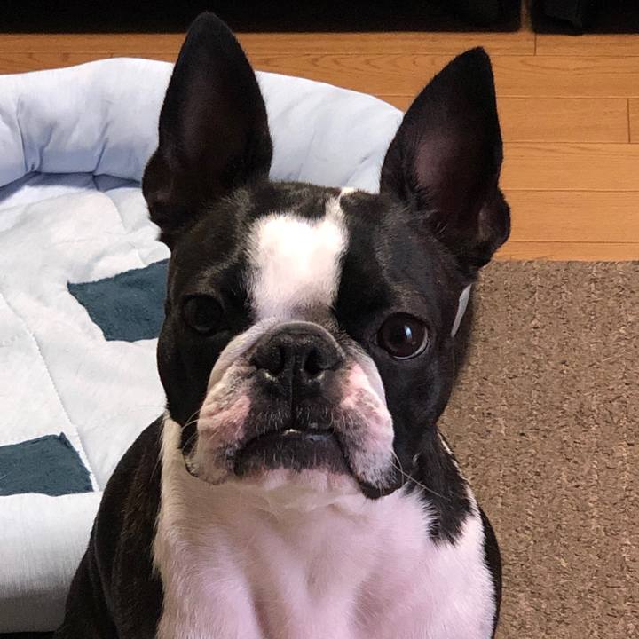 24cc678c a4cc 4088 9e36 eef5a4377701 1565171062089