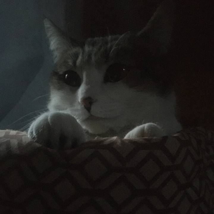 24cc7efd c2fc 4244 a178 cae3e4909f9c 1633135344592