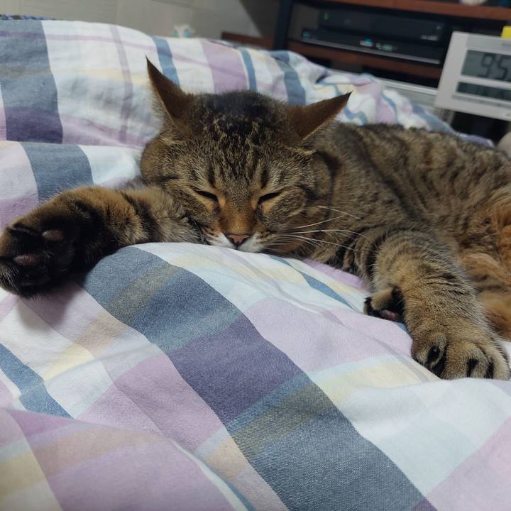 24ccd2d6 13fb 44f0 b778 537c2a9ebe7d 1633092849717