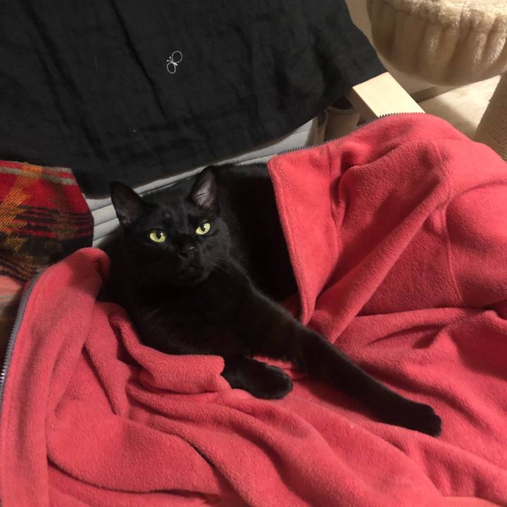 24ccd536 2339 49f6 bbed 111209d2d8fb 1651753727362