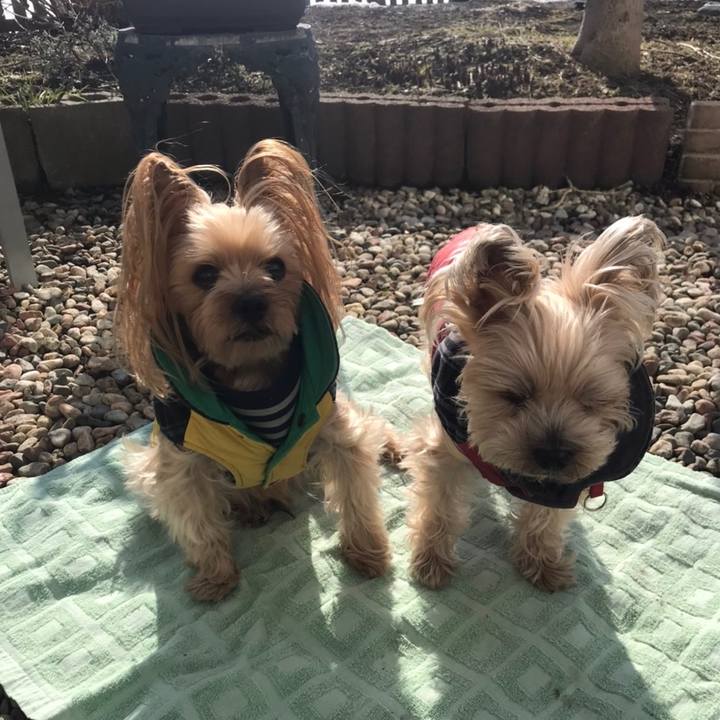 24cd2368 ef97 446e 9002 1c093b4d4555 1584610523345