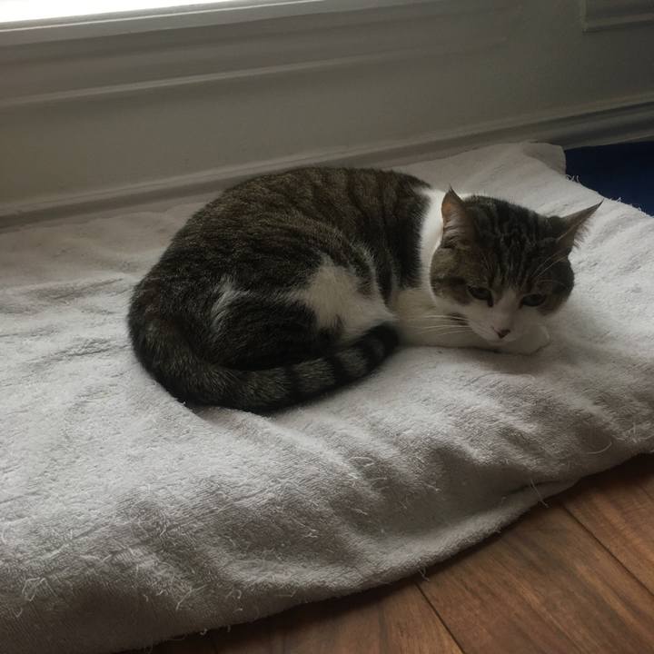 24cd51ee abc9 4c5c ab5f 857c80d48ed4 1647703758317