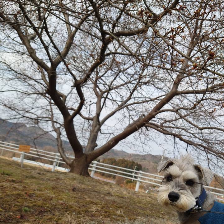 24cd53ed 3d84 47d1 948f 276a51ca6b0a 1773830286535