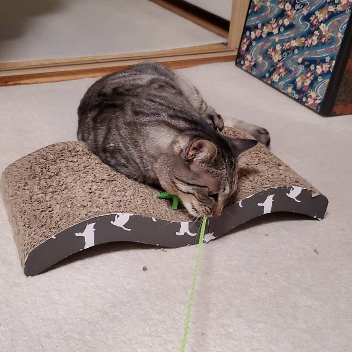 24cd7335 21f6 41dc 9a2a ca92ec9cfe4c 1708787046737