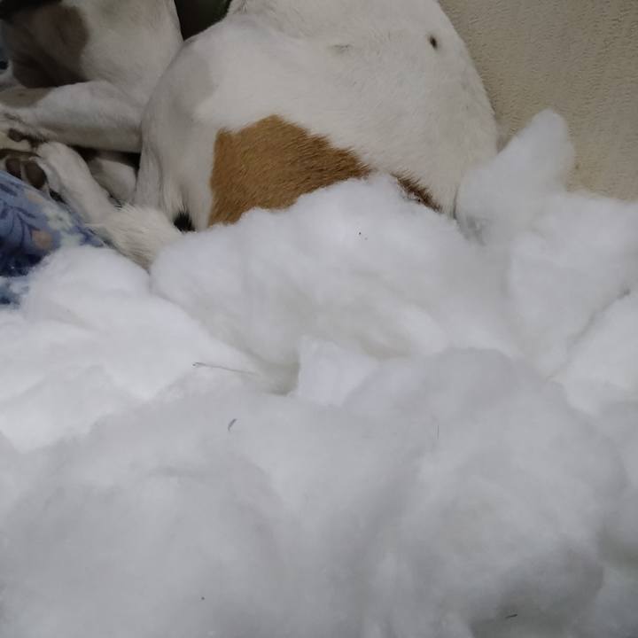 24cd77ce 3b19 45a1 8656 e593fe4faabb 1670842083786