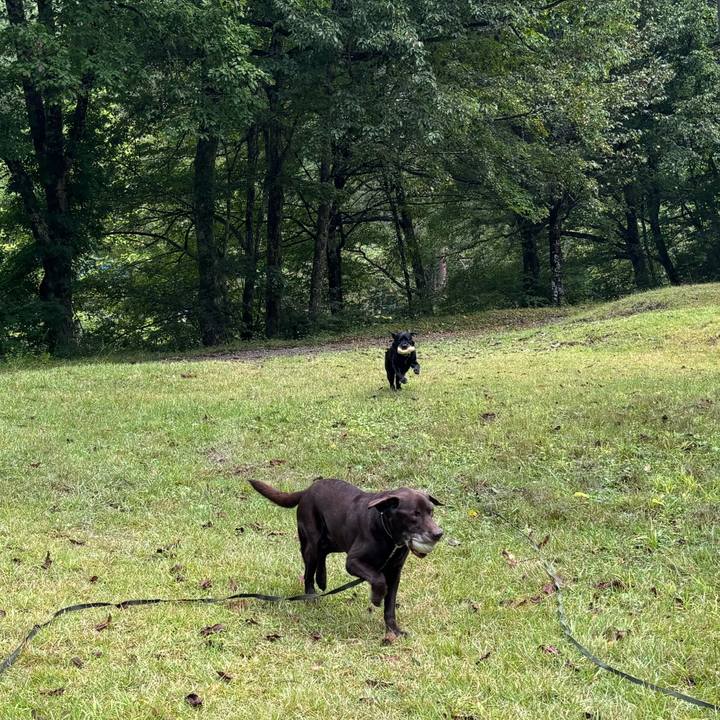 24cd9ad9 3c47 4db1 9575 e7c75a575e2d 1758027027641