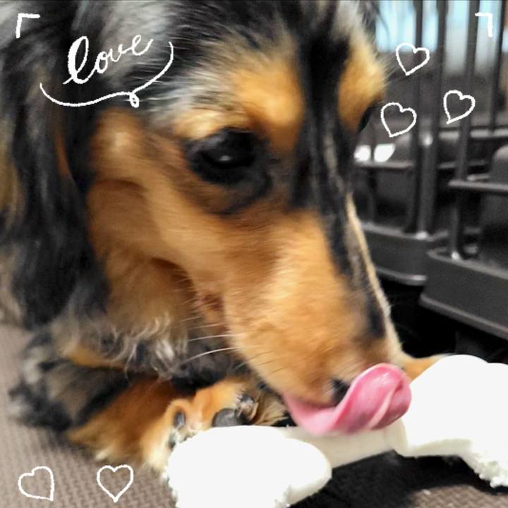 24cda0b9 15ca 419a 9d2f 1da99f8e47dd 1719201001177