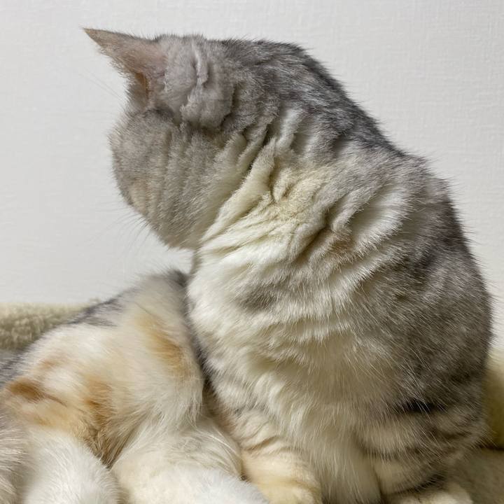 24cdadf3 1524 4c1b ade0 7d49ebab087b 1764420533580