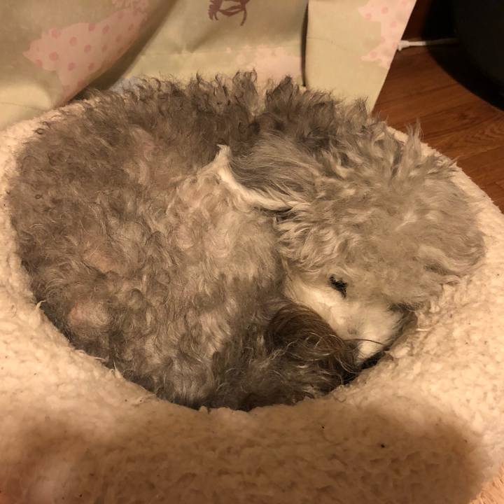 24cdc11b 4b52 4692 b326 c62054ac82c8 1615420958493