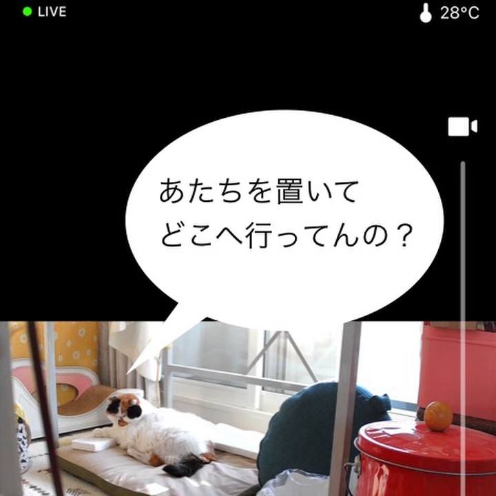 24cdc844 c591 4544 905b 985d05d1d565 1764458649143