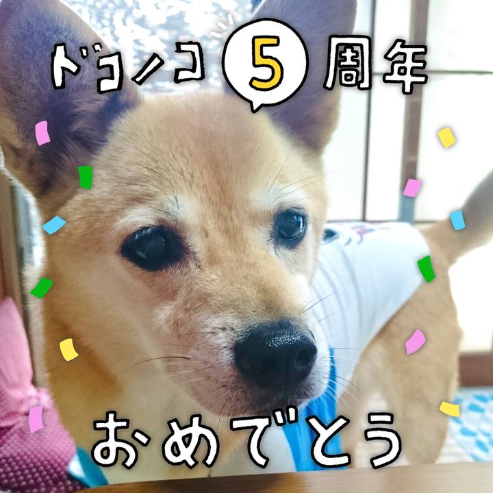 24cdc881 5008 4910 a0a4 044589754250 1622854977153