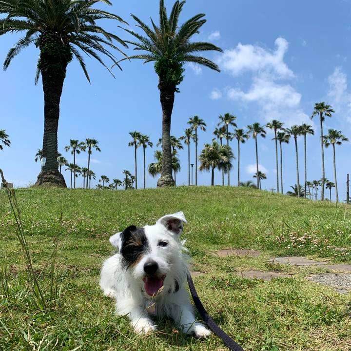 24cddcbb 2aa0 4bb5 8ced 0dd71558dfb3 1654305064197