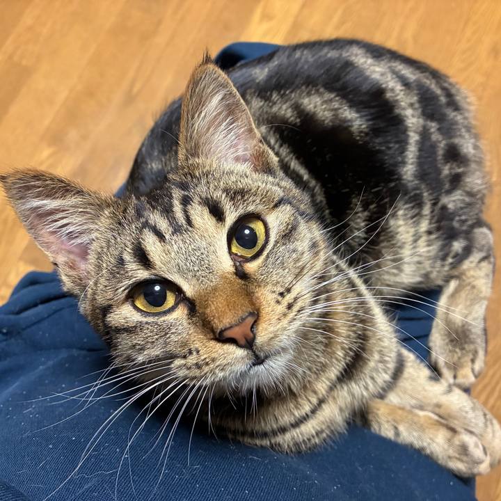 24cdeb33 2fb2 4cb0 a29b c5b24d3cf7fb 1744280848317