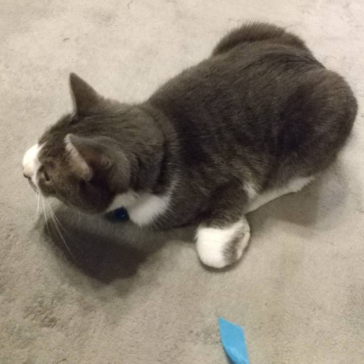 24ce0fd5 3a28 4212 9de7 9807ccbf6996 1604007718697