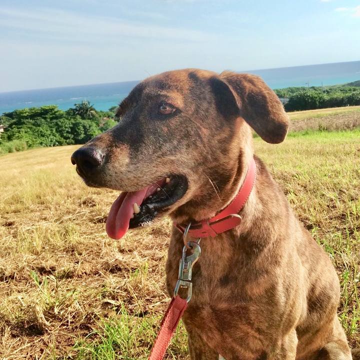 24ce3a2c 8dc3 46d3 852d 6ec4aad6a362 1557374366435