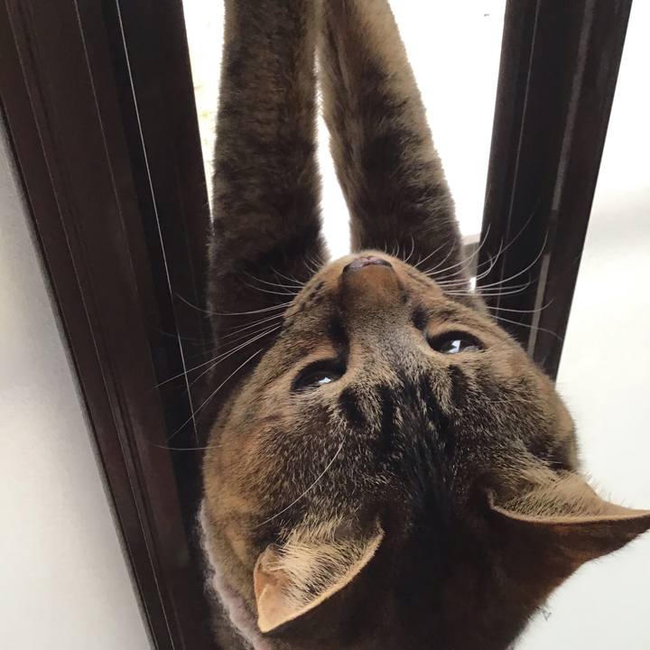 24ce8b03 d857 4327 8cc8 cb3672258feb 1610421480898